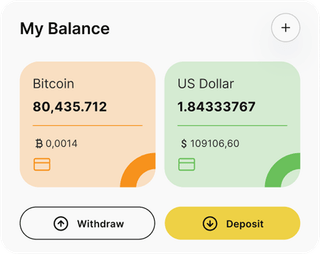 Dashboard-Übersicht der SeoriTokan-Automated-Trading-Lösung